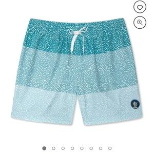 Chubbies Mens Swim Trunks, Stretch Swimming Board Shorts, 5.5 Inseam